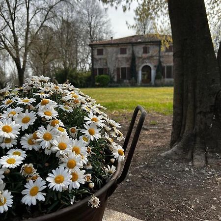 Agriturismo Corte San Girolamo Мантова Екстериор снимка