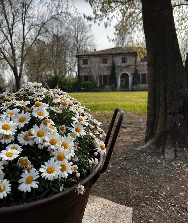 Agriturismo Corte San Girolamo Мантова Екстериор снимка