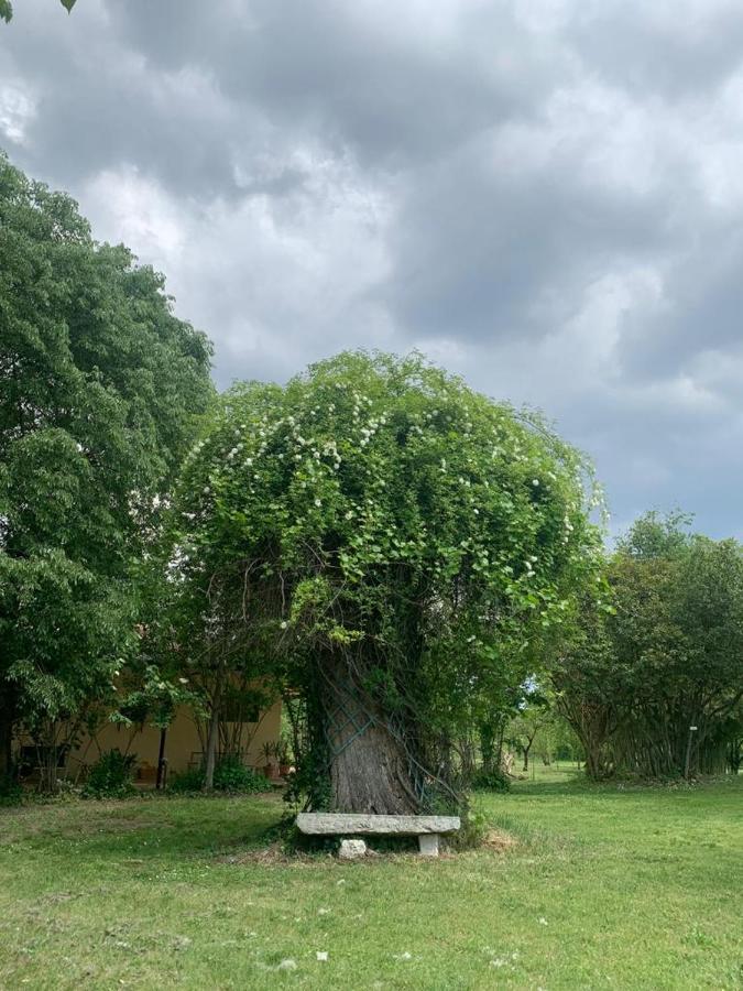Agriturismo Corte San Girolamo Мантова Екстериор снимка