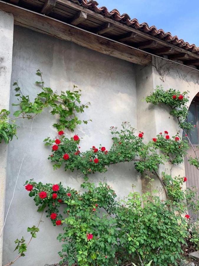 Agriturismo Corte San Girolamo Мантова Екстериор снимка