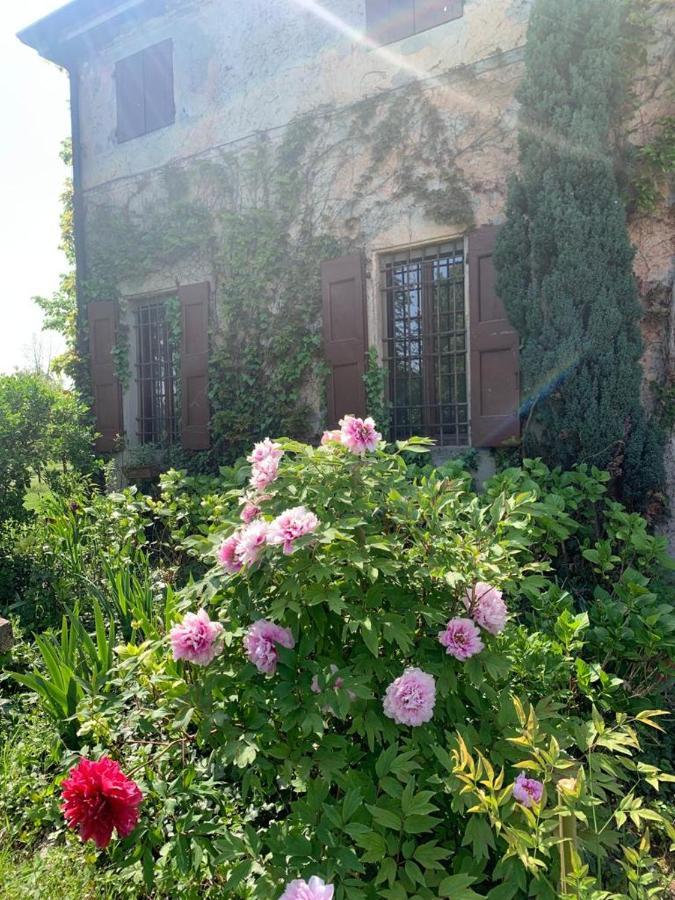 Agriturismo Corte San Girolamo Мантова Екстериор снимка