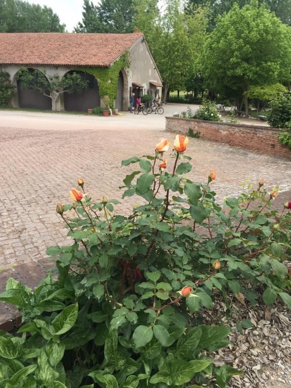 Agriturismo Corte San Girolamo Мантова Екстериор снимка