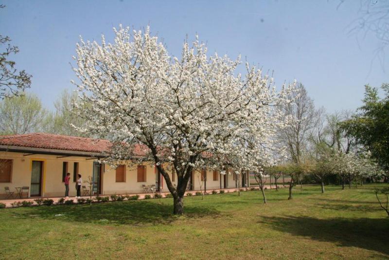 Agriturismo Corte San Girolamo Мантова Екстериор снимка