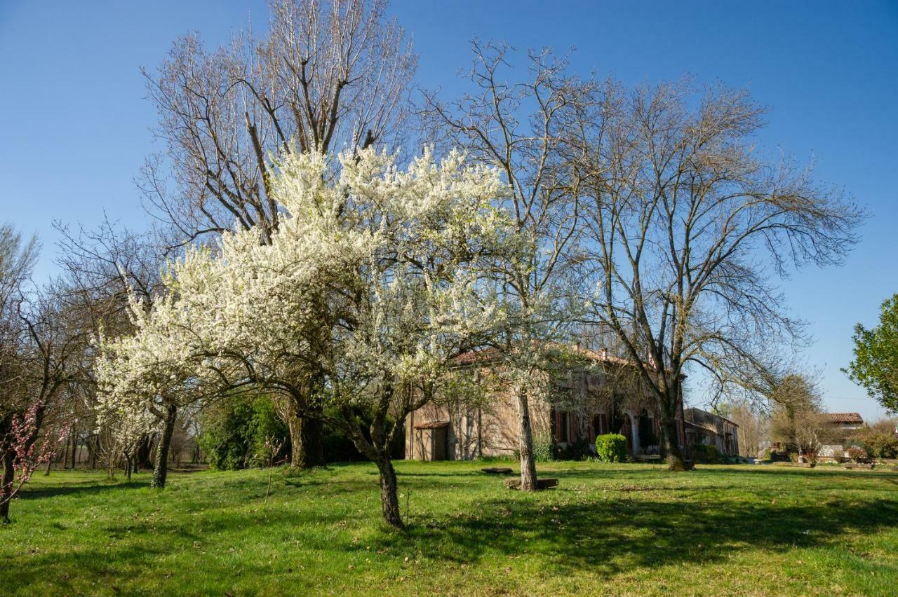 Agriturismo Corte San Girolamo Мантова Екстериор снимка
